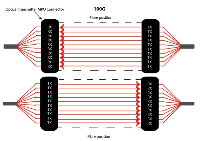 MTP MPO连接100G