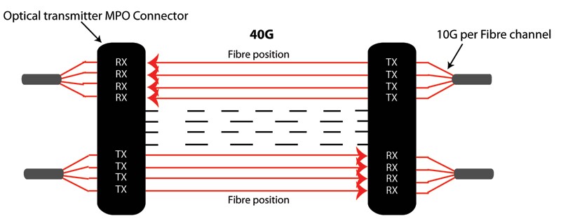 MTP MPO连接40G