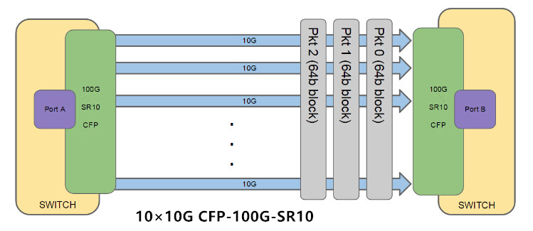 cfp - 100 g - sr10