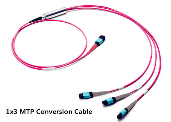 1x3 MTP转vwin网上官网换电缆